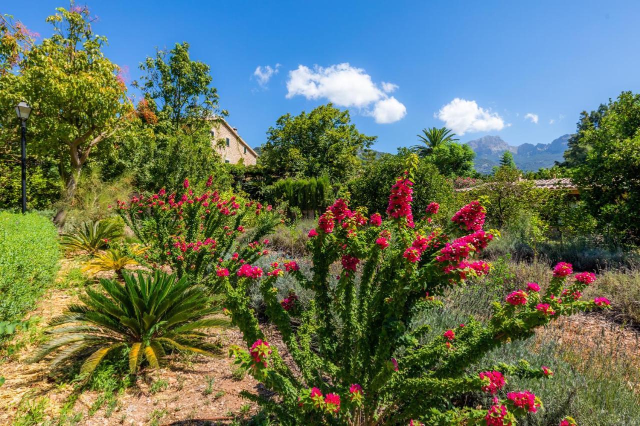 Finca Ca'S Curial - Agroturismo - Adults Only Sóller Extérieur photo