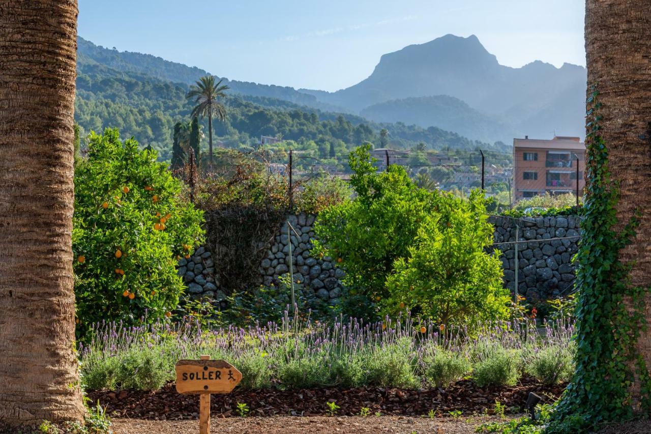 Finca Ca'S Curial - Agroturismo - Adults Only Sóller Extérieur photo
