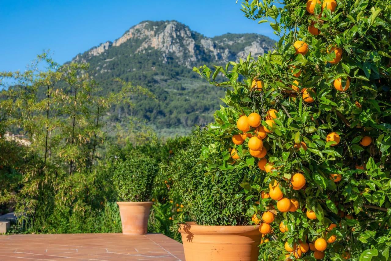 Finca Ca'S Curial - Agroturismo - Adults Only Sóller Extérieur photo